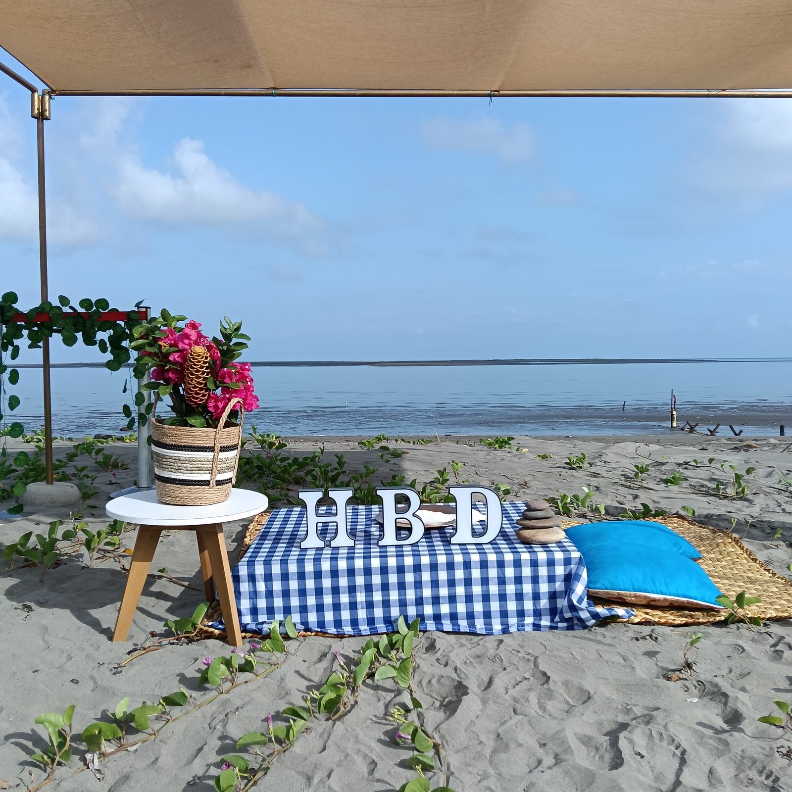 Picnics — 13