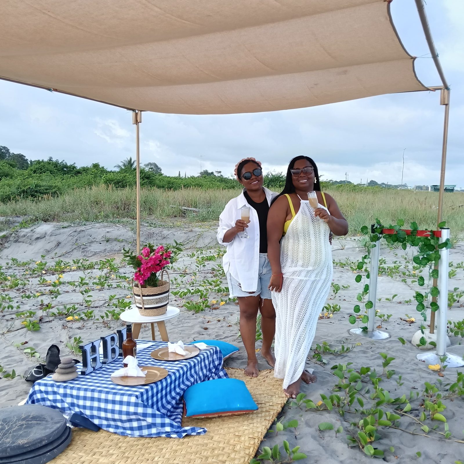 Picnics — 15