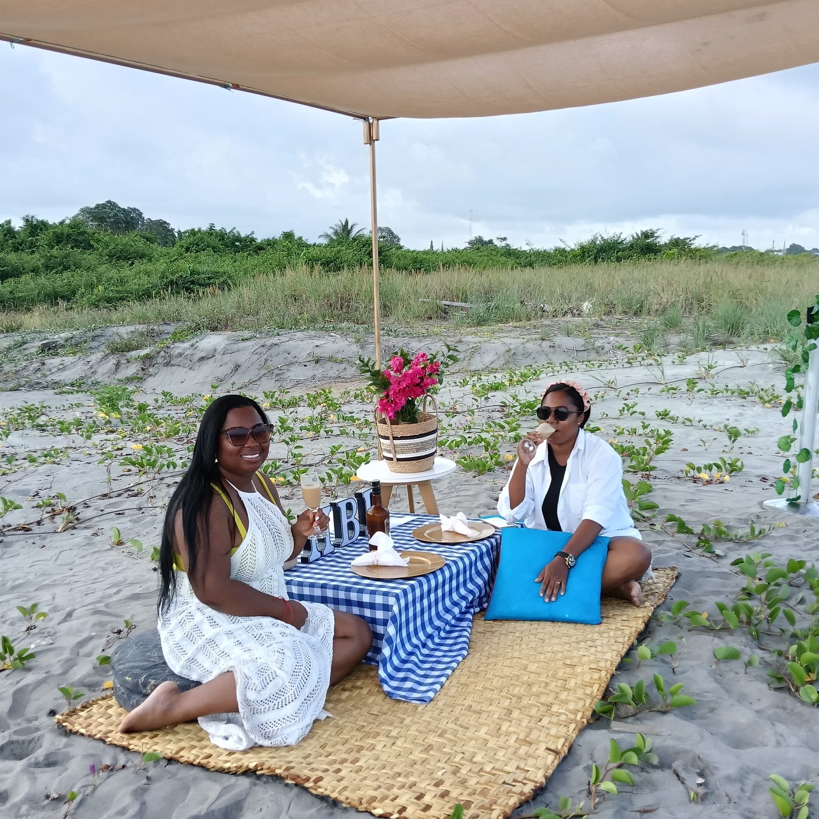 Picnics — 18