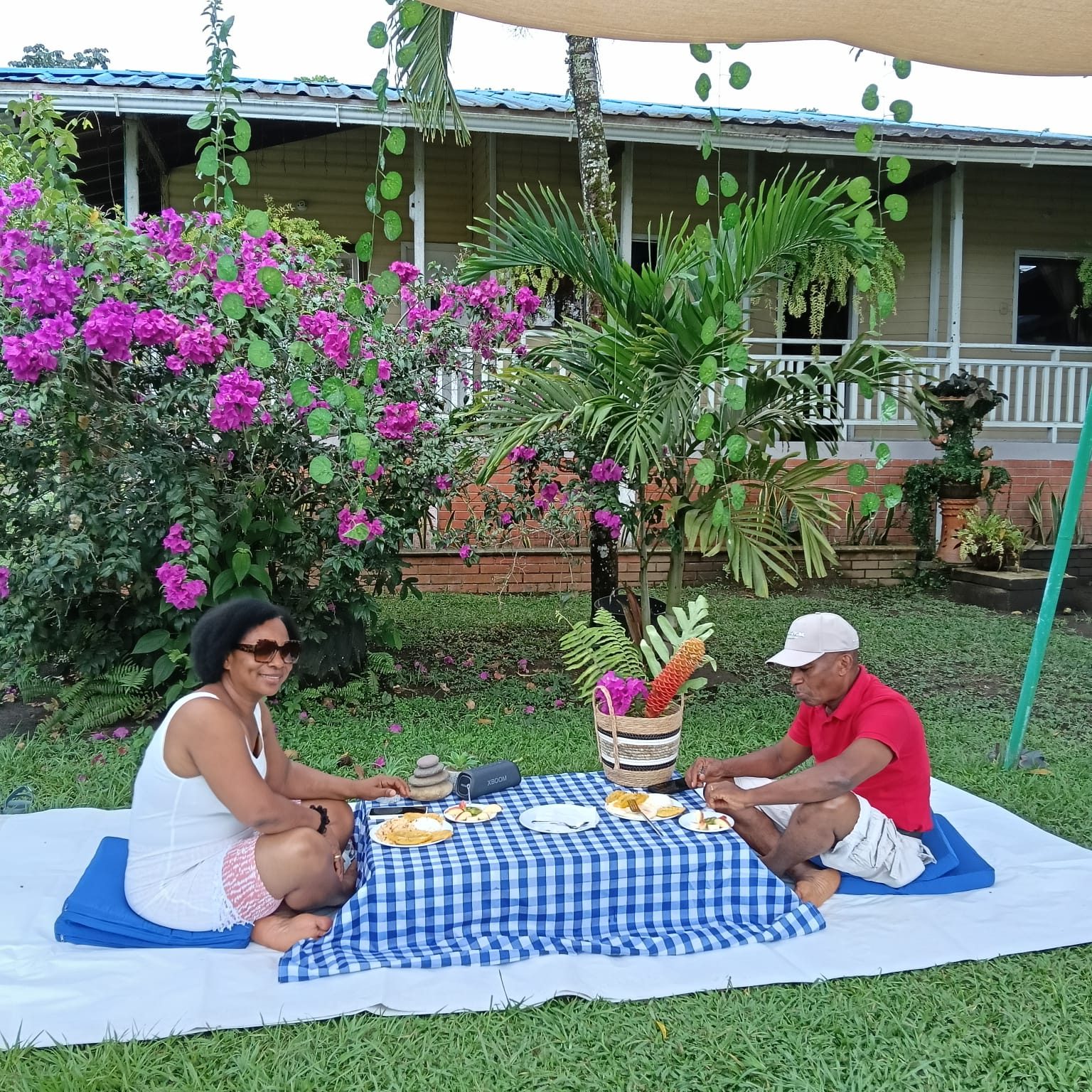 Picnics — 19