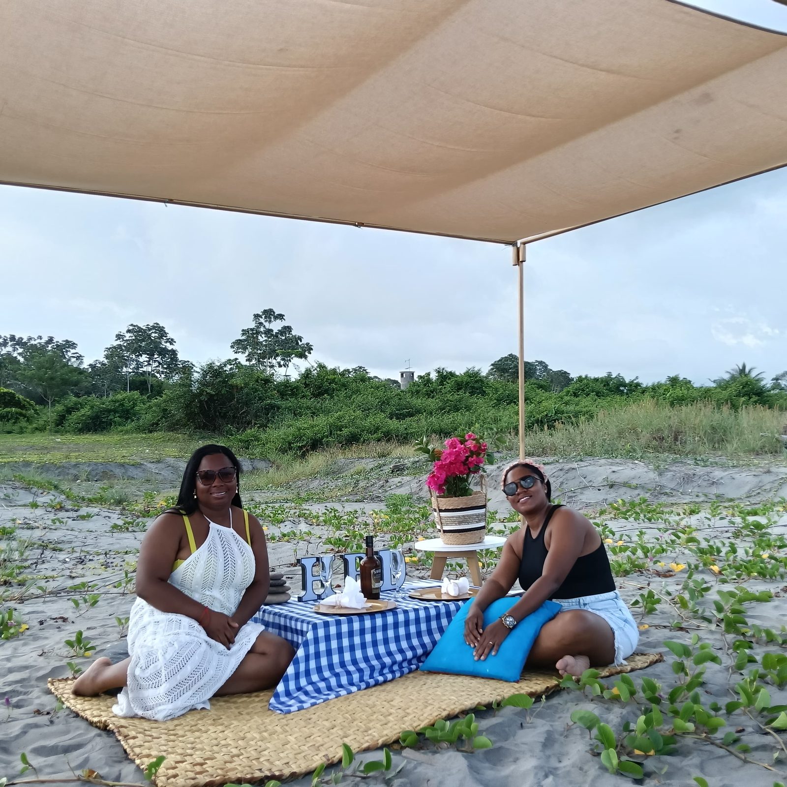 Picnics — 2