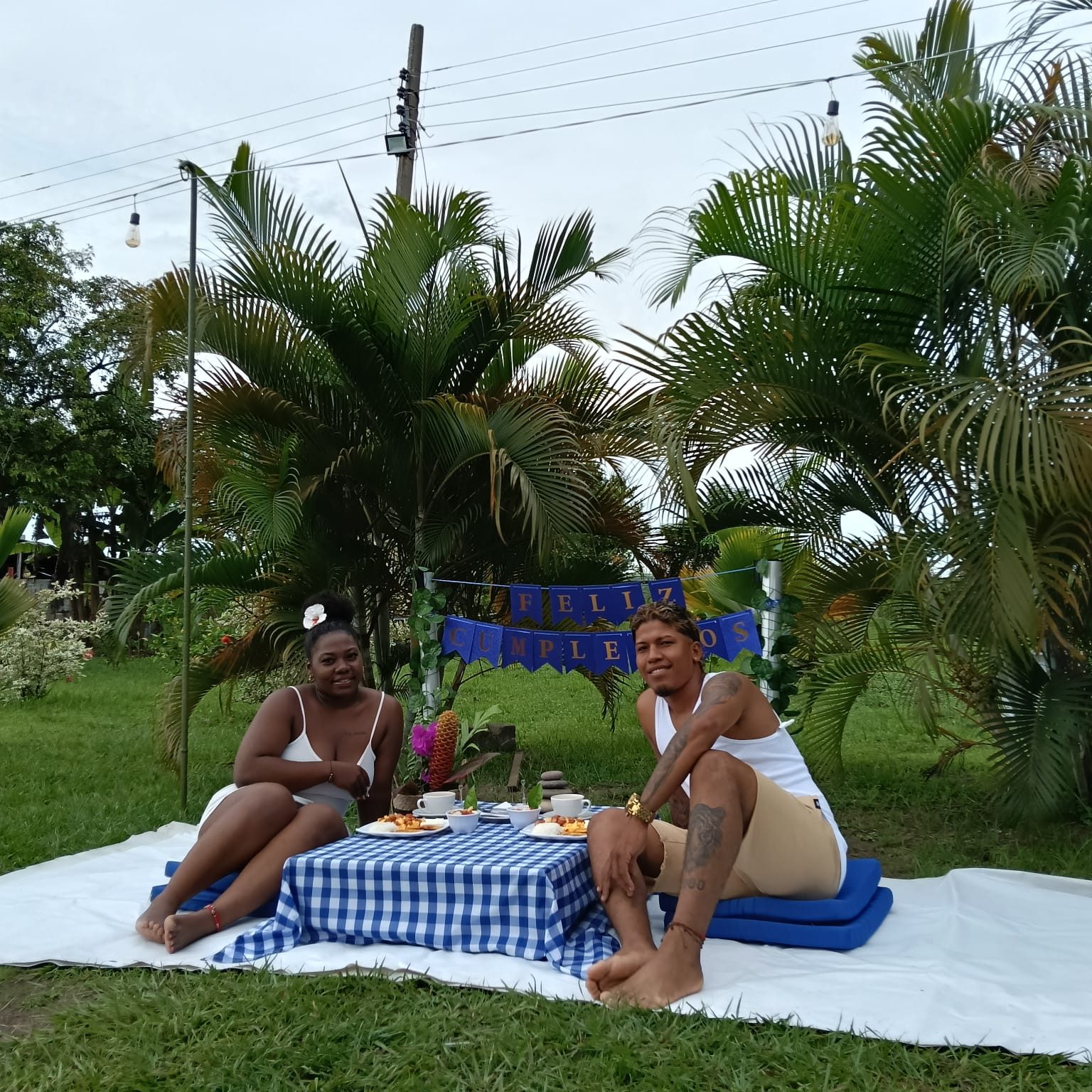 Picnics — 22