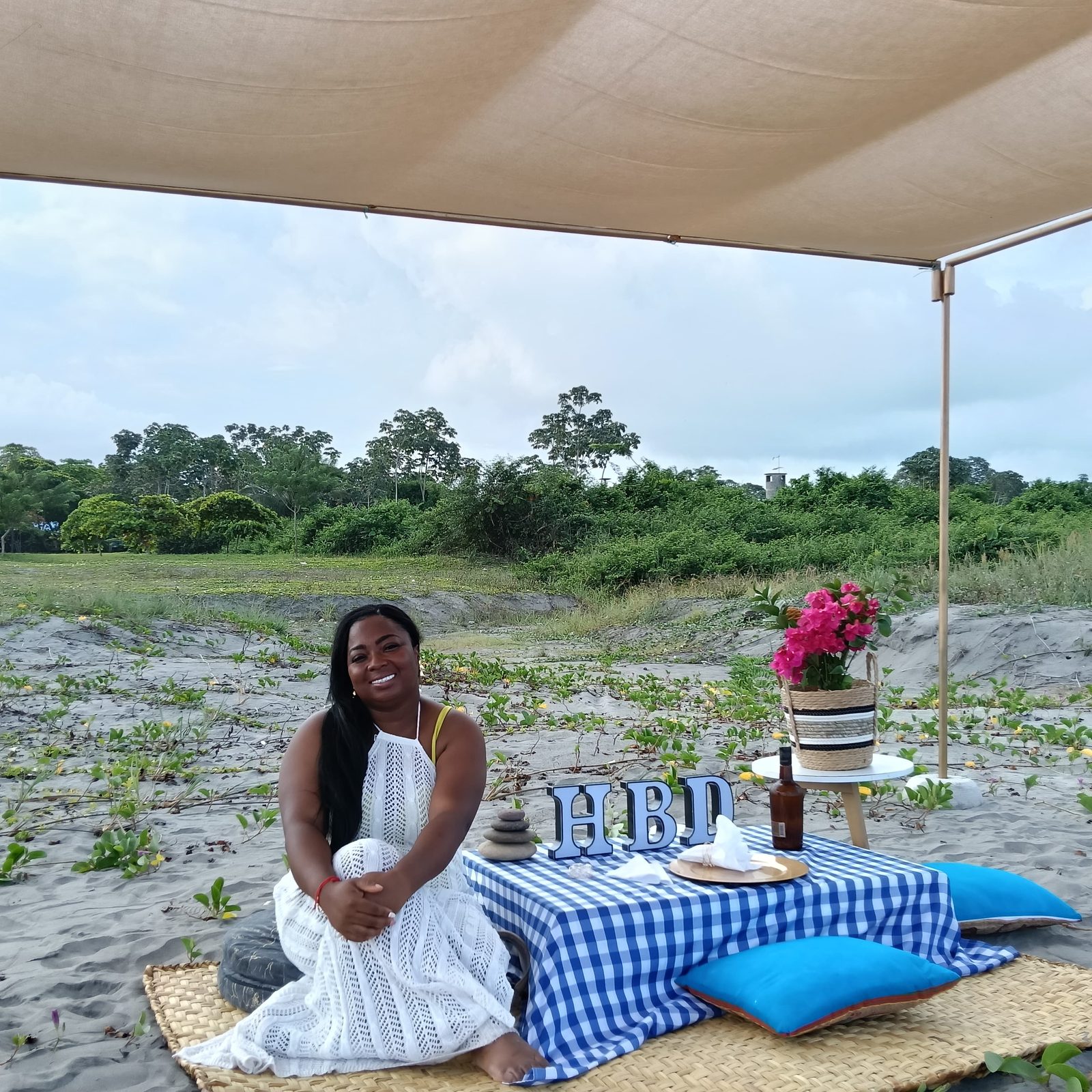 Picnics — 5